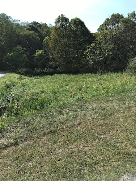 TBD Lot#15 Chestnutwood Dr, Chilhowie, VA 24319