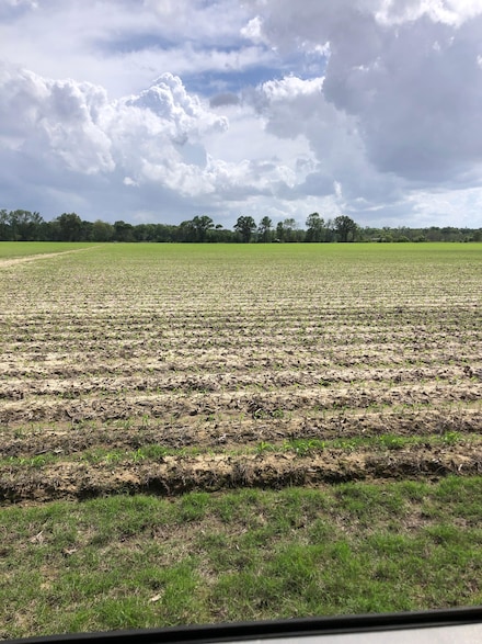 190 Simon Rd, Winnsboro, LA 71295