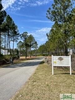118 Hinterland Trail, Statesboro, GA 30458
