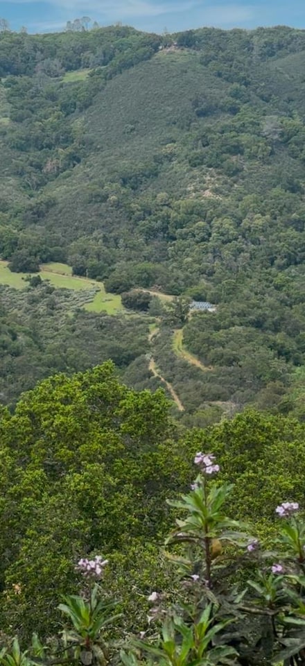 00 Uvas Rd, Morgan Hill, CA 95037