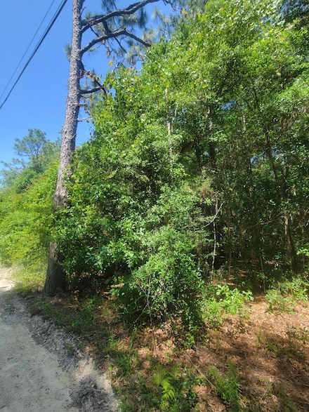 3.2 acres Paul Rd, Defuniak Springs, FL 32433