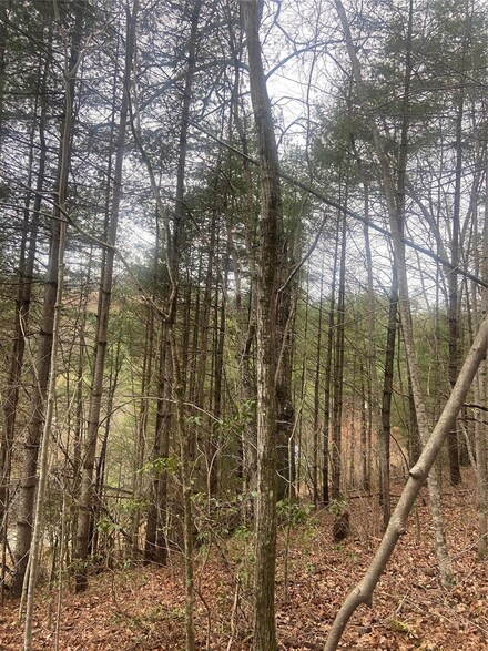 00 Poplar Cove Rd, Mars Hill, NC 28754