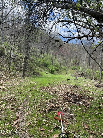 Tbd Crabtree Hollow, Clintwood, VA 24228