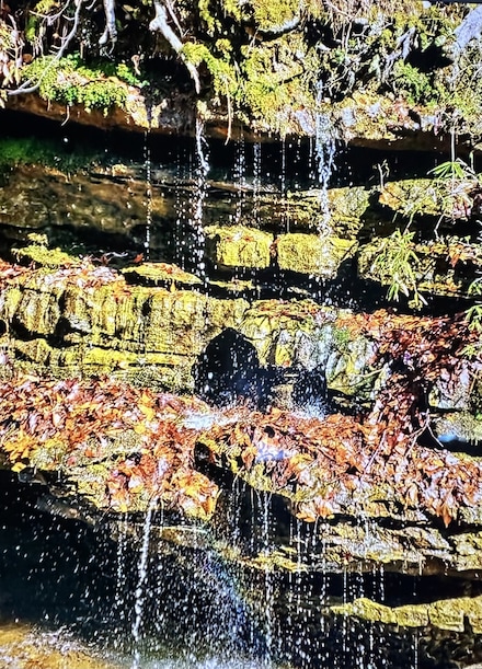 2024 Powdermill Hill Rd, Lawrenceburg, TN 38464