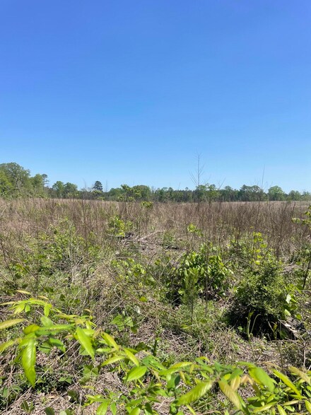 00 Gamble Rd, Prentiss, MS 39474
