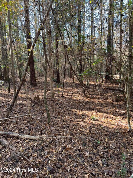 210 Hwy, Rocky Point, NC 28457