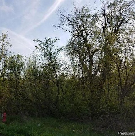0000 S Lapeer Rd, Orion Charter Township, MI 48362