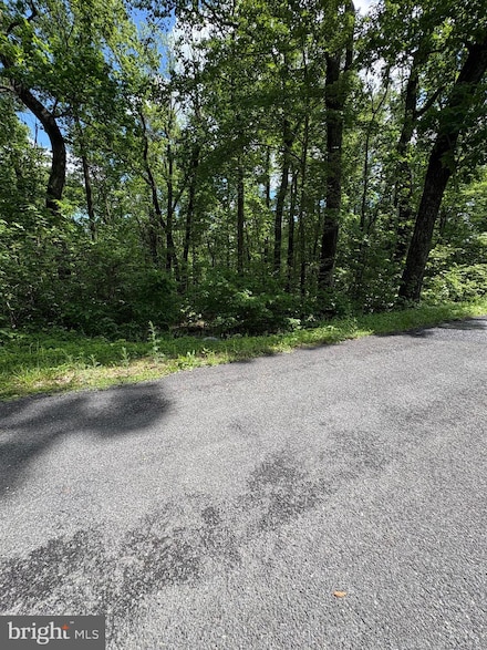 LOT 246 Inca Trail, Shawneeland, VA 22602