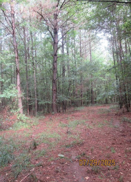 00 Hardy Williams Rd, Pinola, MS 39149