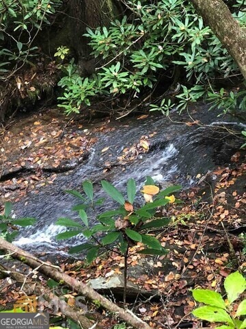 0 Allen Cove Rd Unit 10339818, Rabun Gap, GA 30568