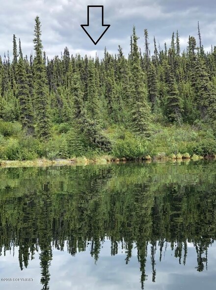 Lt 6 Lake Louise Rd, Glennallen, AK 99588