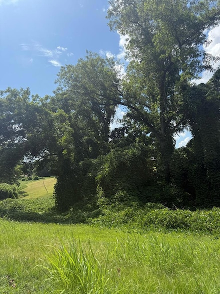 0 Branch St, Abbeville, SC 29620