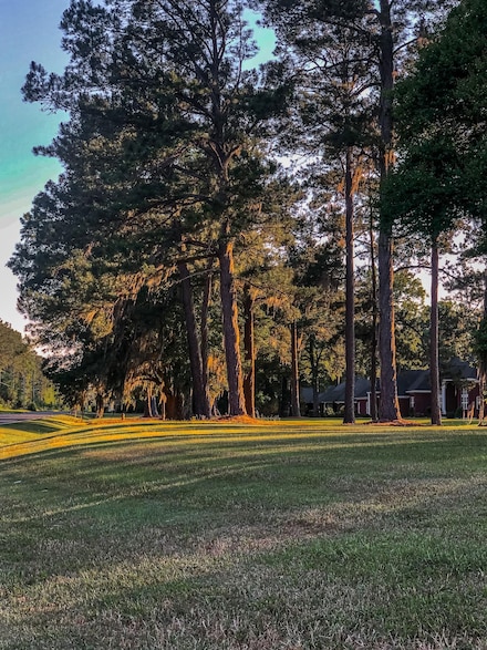 203 Manchester Dr, Albany, GA 31721