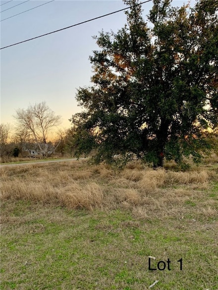 305 N 4th St, Skidmore, TX 78389