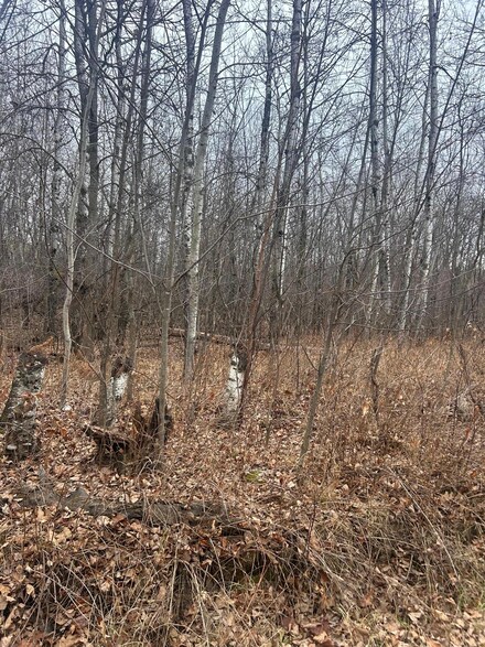 TBDxxxx Golf Course Dr, Cushing Township, MN 56475