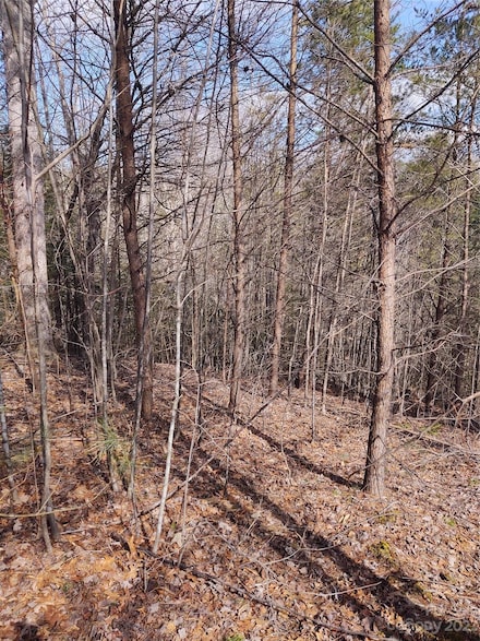 2 Riverview Forest Dr Unit 2, Marion, NC 28752