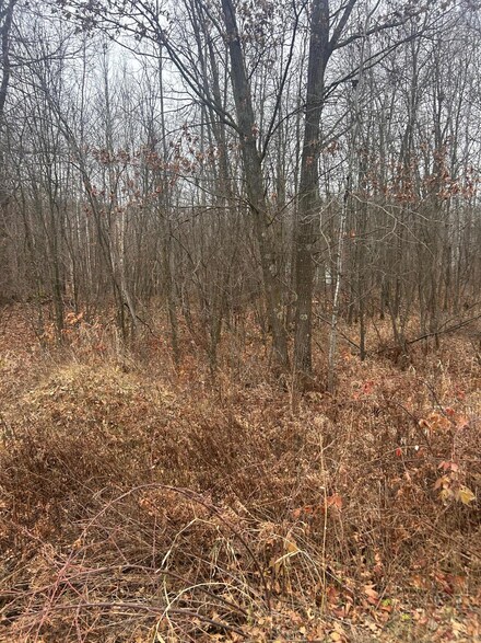 TBD Lake Camile Dr, Randall, MN 56475