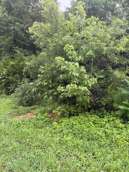 349 Carolyn Ln, Decatur, TN 37322