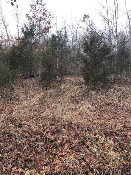 15390 Carlisle Rd, Crittenden, KY 41030