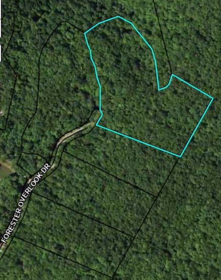 F06 Forester Overlook, Menlo, GA 30731