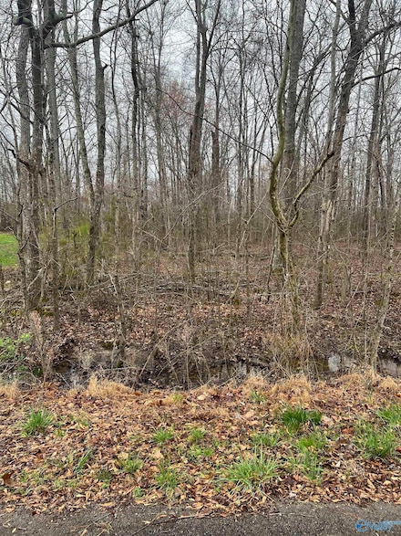Lot 16 Jessica Dr, Toney, AL 35773