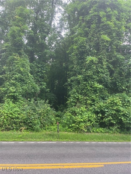 0 Mcmackin Rd Unit 5129328, Madison Township, OH 44057