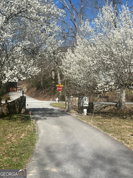 0 Walnut Mountain Unit 10477063, Rabun Gap, GA 30568