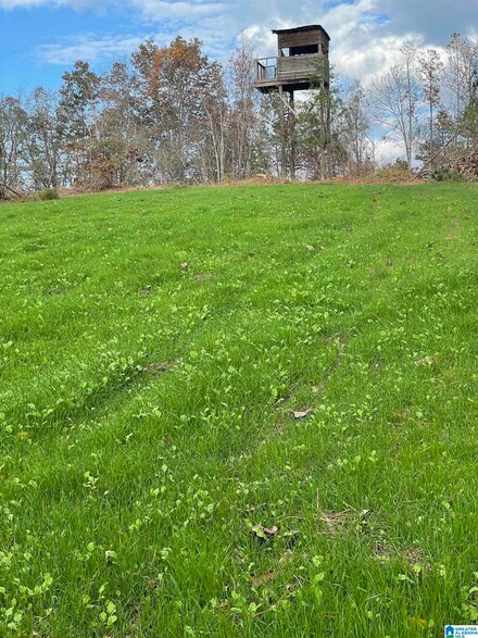 0 County Road 565 Unit 80 plus acres, Hanceville, AL 35077