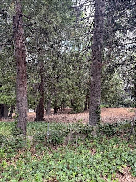 0 Cumberland Dr Unit IG25149585, Lake Arrowhead, CA 92385