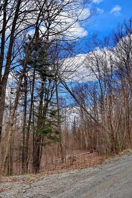 0 Mountain View Ln Unit 4908552, Bethlehem, NH 03574