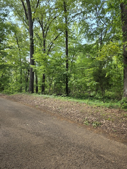 0 Arkadelphia Rd, Clarksville, TN 37040
