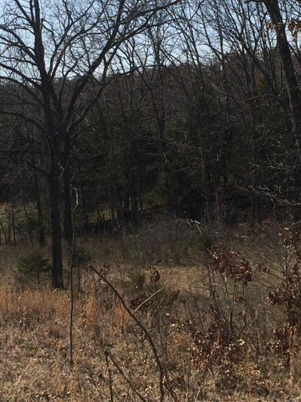 0 Hwy 6340, Edgar Springs, MO 65462