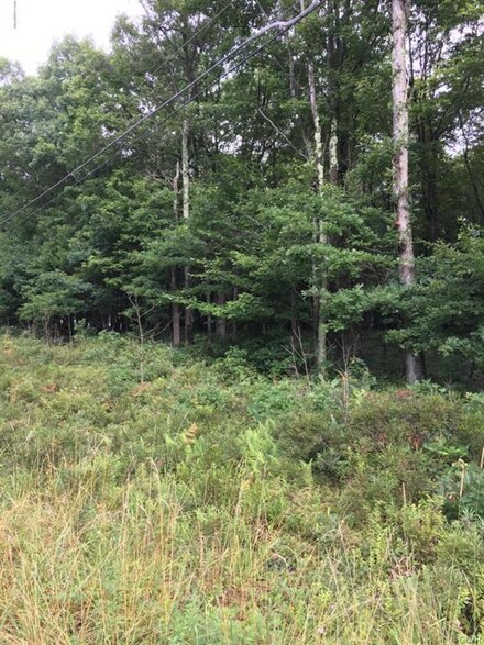 36 Deep Lake Dr, Tunkhannock Township, PA 18334