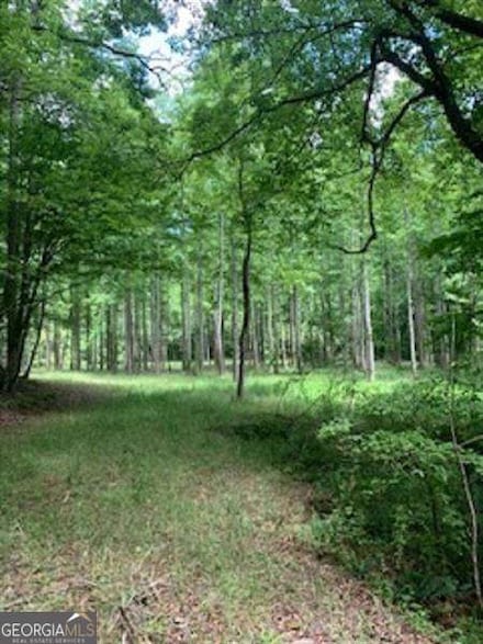 0 Craigtown Rd Unit 10453707, Ellijay, GA 30540