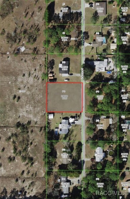 5316 S Alice Point, Homosassa Springs, FL 34446