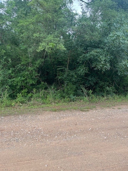 0 Deerwood Dr, Hempstead, TX 77445