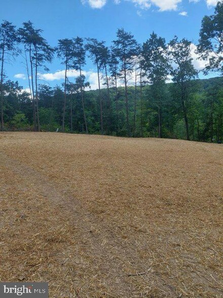 230 Tranquil Wood Ln, Winchester, VA 22602