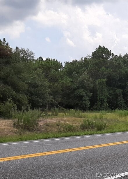 7851 N Carl G Rose Hwy, Hernando, FL 34442