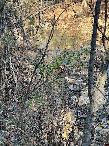 001-08378-001 Highway 62 W, Pyatt, AR 72672