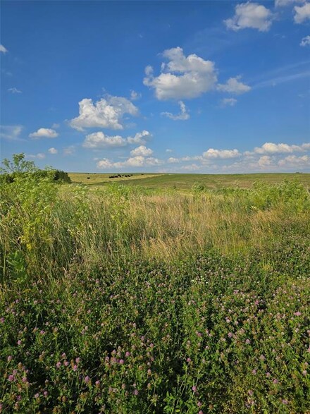 5492 30th Ave, Oxford Junction, IA 52323