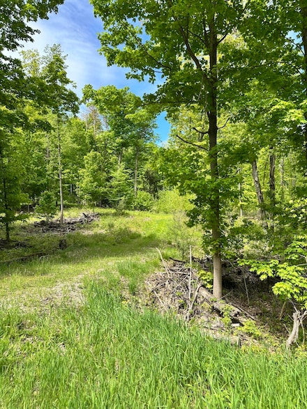 4333 E Town Line Rd, Fountain, MI 49410
