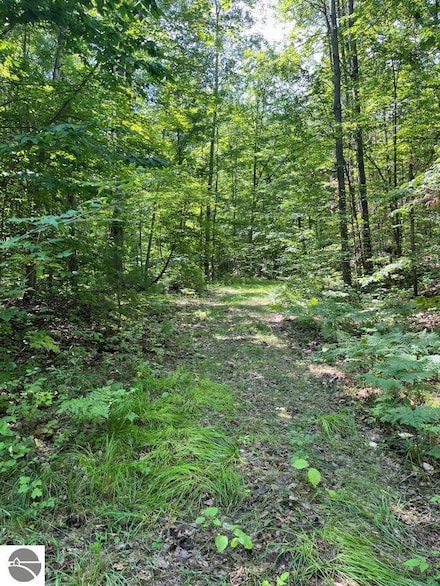 211 Logging Trail, Rose Lake Township, MI 49655