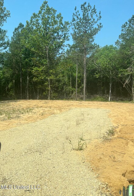 155 Hidden Acres Ln, Braxton, MS 39044
