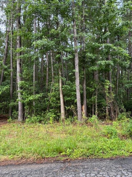 230 Wilson St, Sumter, SC 29150
