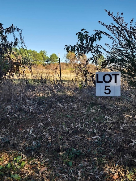 0000 Cr 474 Tract 5, Price, TX 75687