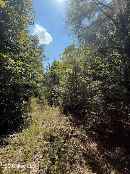 4920 Wiggins Loop Rd, Carthage, MS 39051