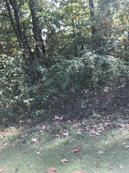 TBD Lot#13 Chestnutwood Dr, Chilhowie, VA 24319