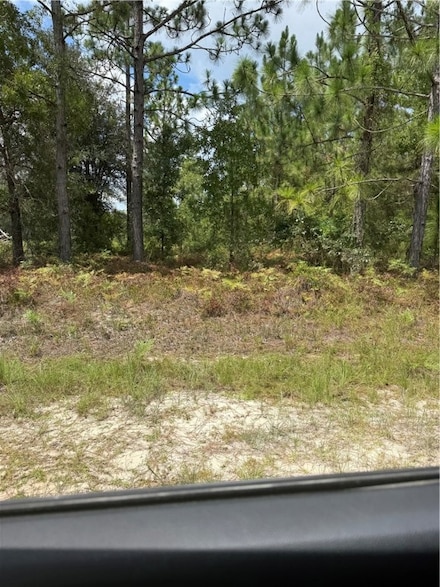 0 Heritage Cir Unit 1656065, Hortense, GA 31543