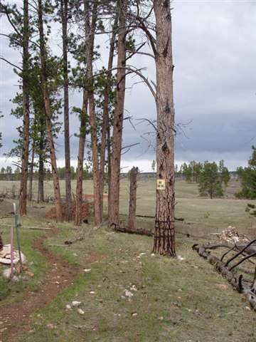 0 Boles Canyon Rd Unit Moon 41651, Hill City, SD 57745