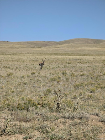 527 Cochiti Rd, Hartsel, CO 80449